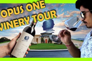 Want the Best Wine Experience in NAPA VALLEY? OPUS ONE winery tour!