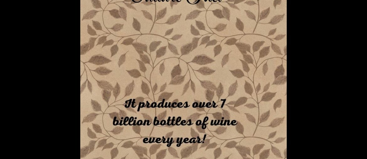 France and Wine: A Nation of Wine Lovers France and Wine: A Nation of Wine Lovers