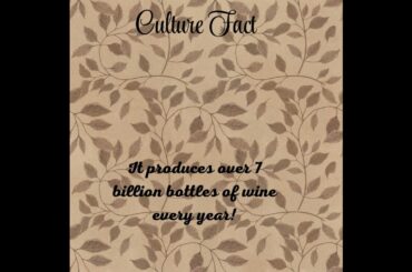 France and Wine: A Nation of Wine Lovers