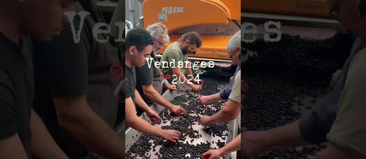 MAS DEL PERIE by FABIEN JOUVES (Cahors) #winery #frenchwine #organicwine  #biodynamicwine