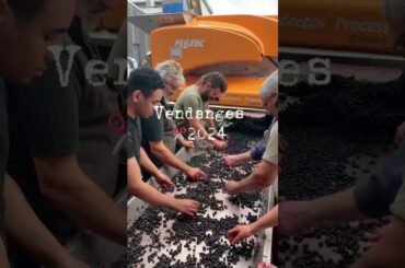 MAS DEL PERIE by FABIEN JOUVES (Cahors) #winery #frenchwine #organicwine  #biodynamicwine