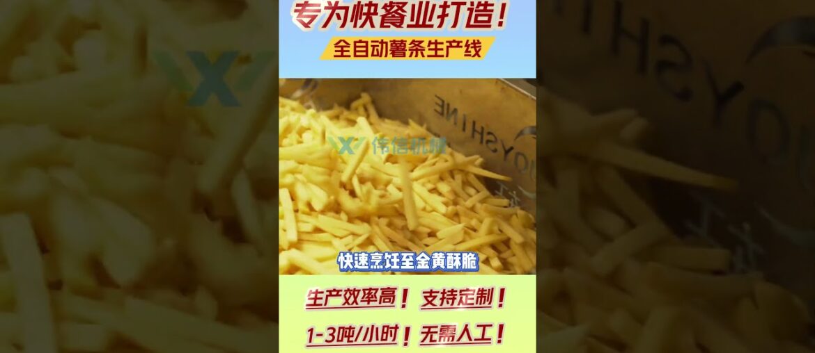 French fry line designed for the fast food industry #foodmachine #machineshop #frenchfriesmachine