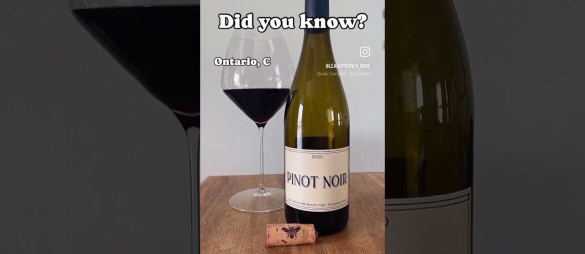 What are your favourites? #drink #wine #pinotnoir #winetime