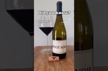 What are your favourites? #drink #wine #pinotnoir #winetime