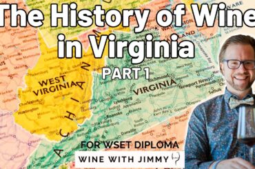 The History of Virginian Wine Part 1 for WSET Diploma