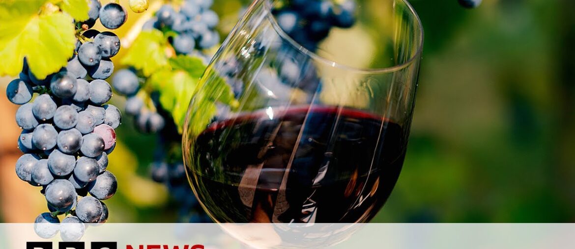 How is Scandinavia growing its wine industry? | BBC News