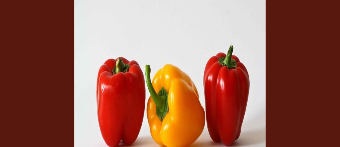 Quiet Ambiance for Exclusive Dining