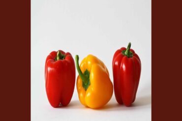 Quiet Ambiance for Exclusive Dining