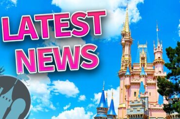 Latest Disney News: Parks Reopen After Hurricane Milton, Cake Bake Shop Menu Revealed & More!