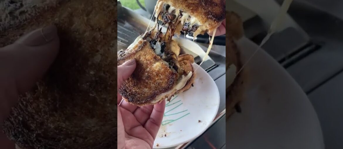 French Onion Grilled Cheese pull, anyone?