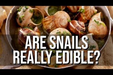 Escargot: Why Are Snails a Specialty in France?