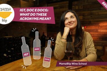 Beginners Guide to italian Wines: Quality Classifications for Wine from Italy Igt, DOC, DOCG