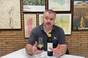 Wine Review: Les Champs Libres Bordeaux Blanc 2019