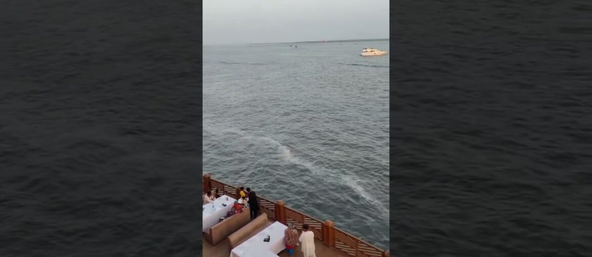 Riverside Dining: The Most Relaxing Restaurant Experience Riverside Dining: The Most Relaxing Restaurant Experience