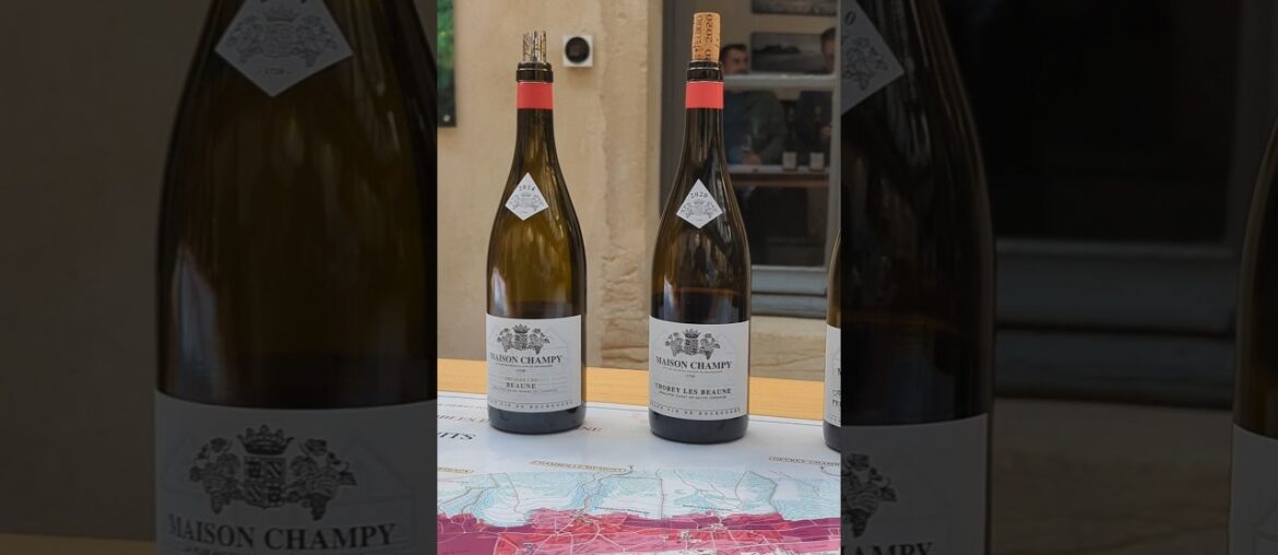 Wine tasting in Beaune Burgundy Maison Champy