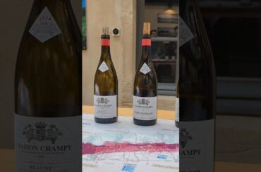 Wine tasting in Beaune Burgundy Maison Champy