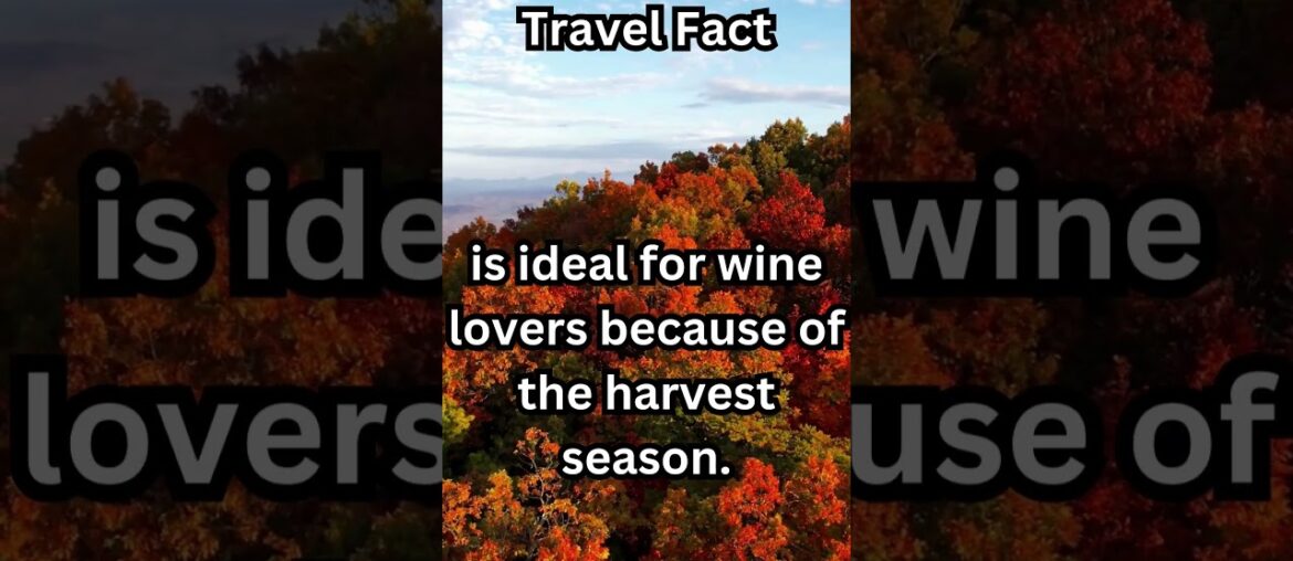 Travel Napa Valley Fall and Winter Seasons #wine #travel #winter #napavalley