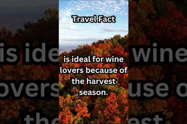 Travel Napa Valley Fall and Winter Seasons #wine #travel #winter #napavalley