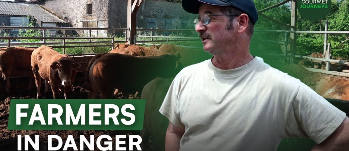 The DARK Side of French Farming You Never Knew The DARK Side of French Farming You Never Knew