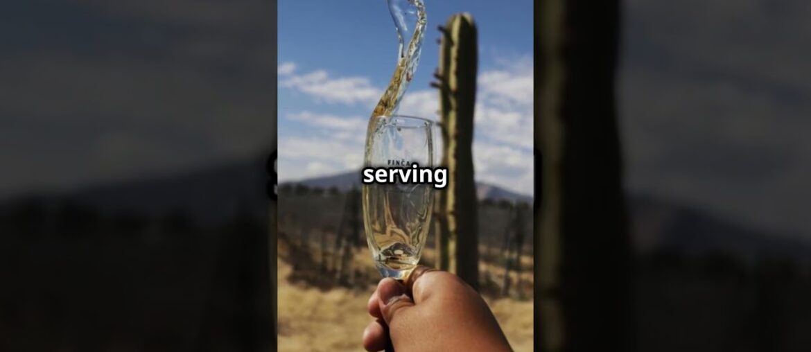 Champagne: The French Marvel Champagne: The French Marvel