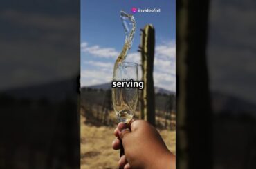 Champagne: The French Marvel