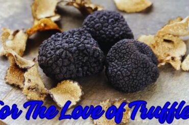 What Are Truffles.?   The Gourmet Goldmine!