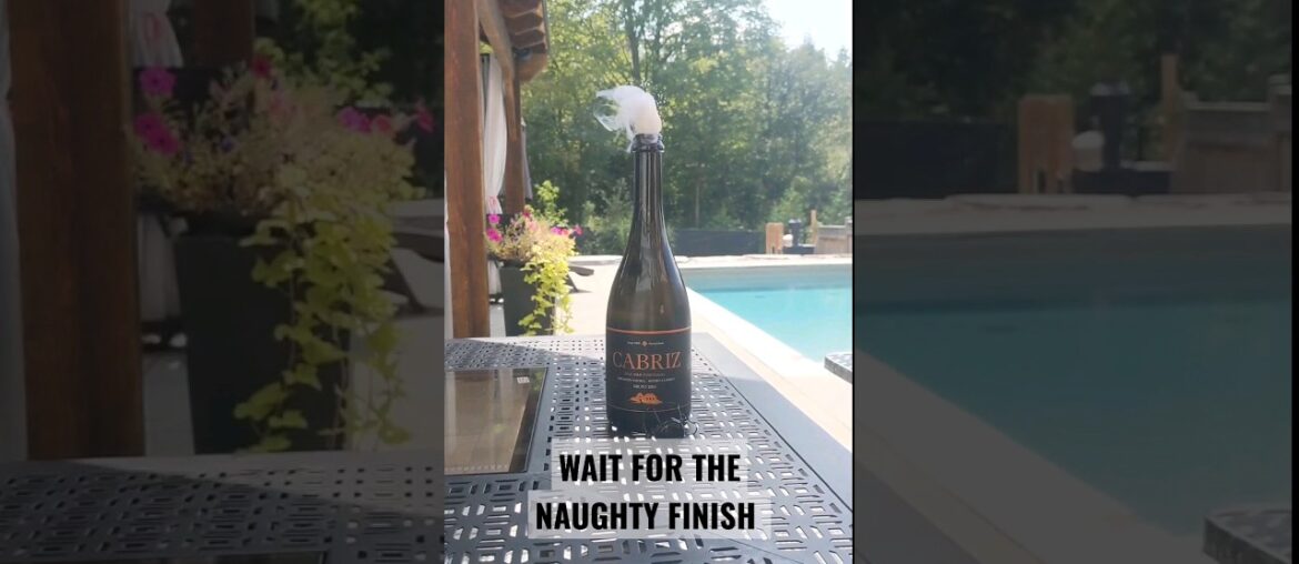 Cabriz Brut 2016 Sparkling Wine #wine #vinho #portuguese #shorts