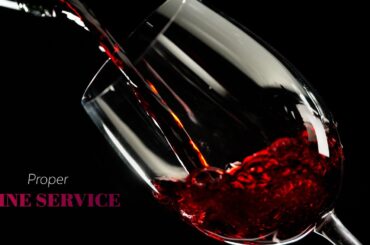 Proper Wine Service | Learn to Serve Wine Like a Professional