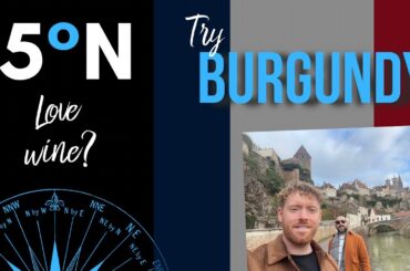 FRANCE || Burgundy - travel vlog (Dijon, Beaune, Semur-en-Auxois) 15 Degrees North