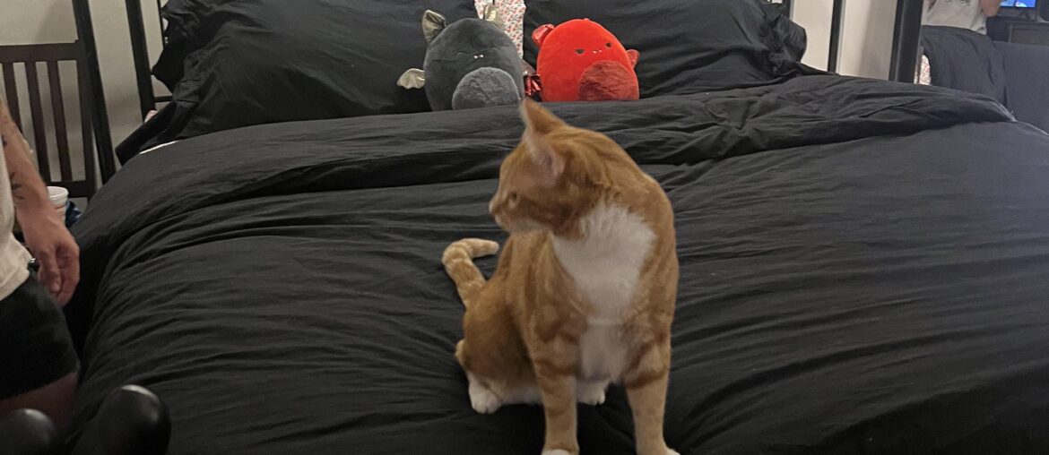 How to keep my headboard from bumping the wall?