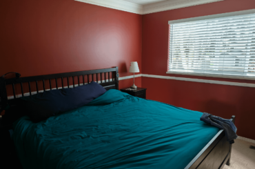 Trim color recommendation