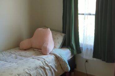 Salvage paint color?