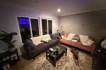 Curtain idea suggestions