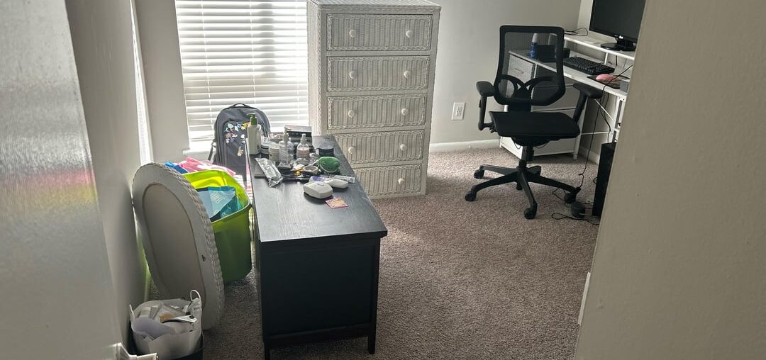 What to Put in Office/Second Bedroom?