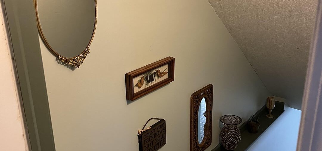 What light switch covers? Or none of these?