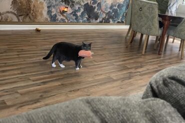 Which wall color compliments this mural?