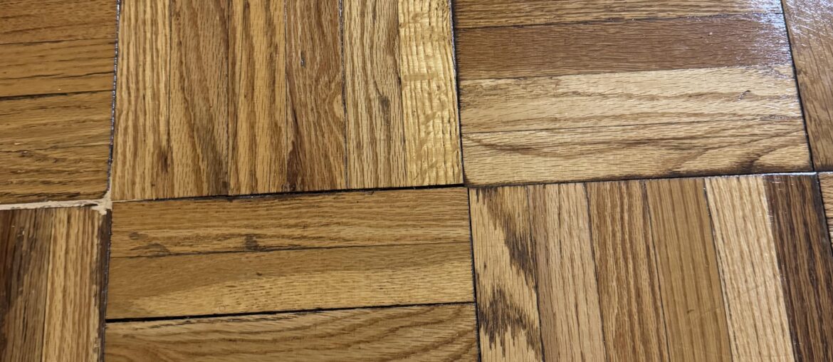 What color rug with these floors?