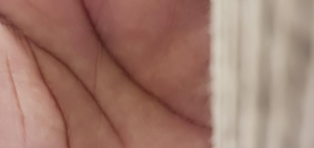 What is this and what is it called? Like a carpet on a wall. I don't think I've seen this before