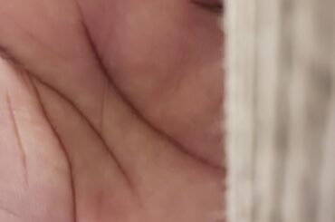 What is this and what is it called? Like a carpet on a wall. I don't think I've seen this before