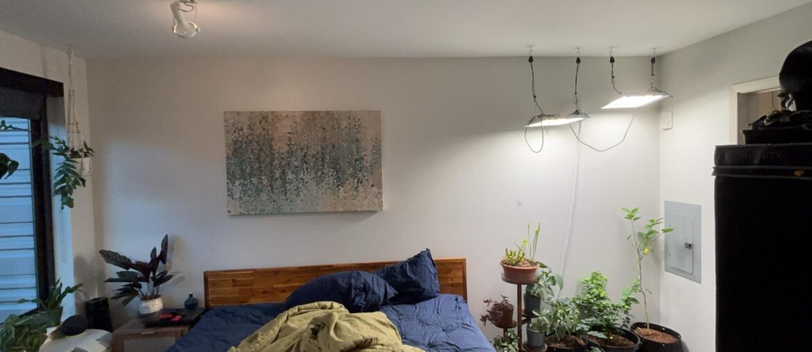 Paint Color Recommendations for accent wall
