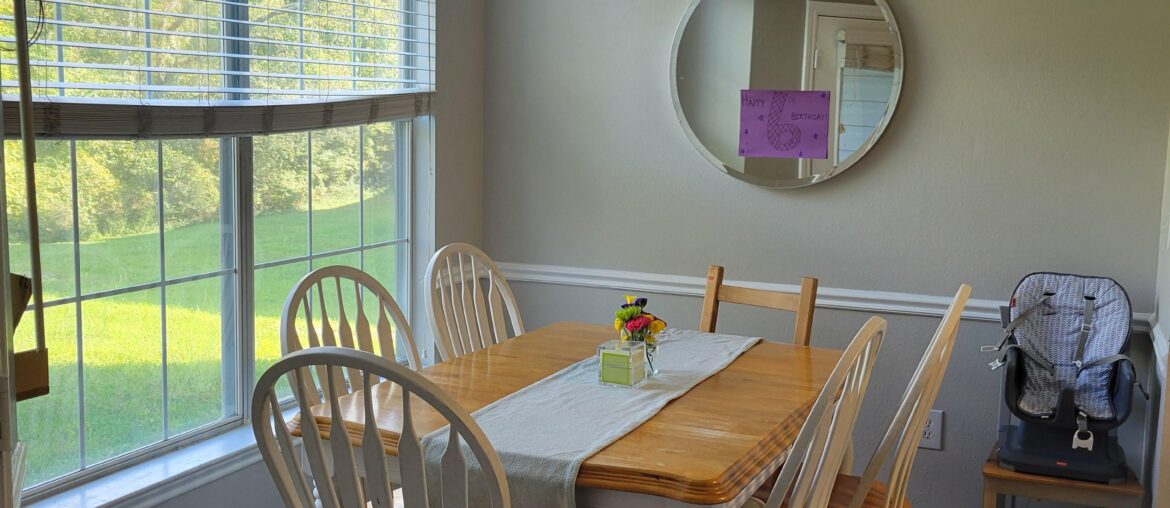 Ideas for plants or something else for this wall?