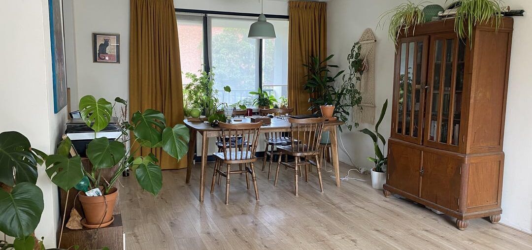 Need advice on rug: yes or no