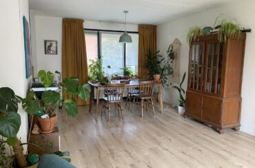 Need advice on rug: yes or no