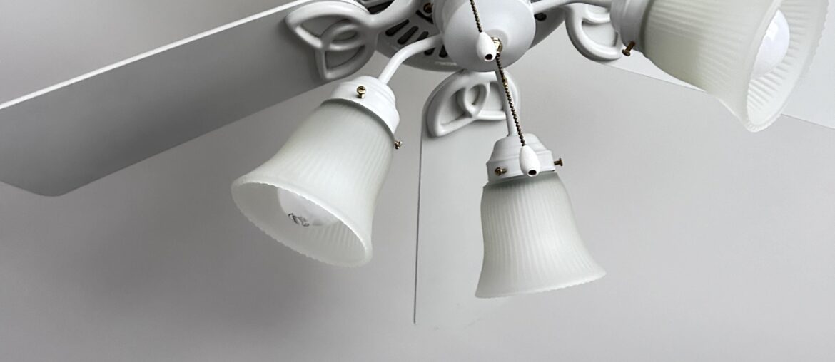 Ceiling fan light fixture