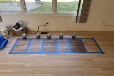 Which hardwood stain is timeless?