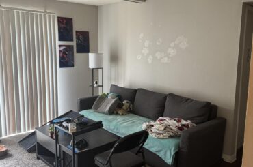 Can someone help me make my apartment look less “sad”