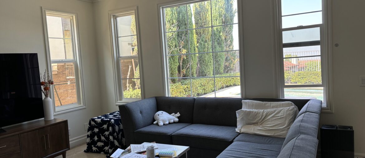 Agonizing over how to dress these windows