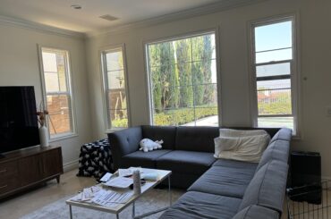 Agonizing over how to dress these windows