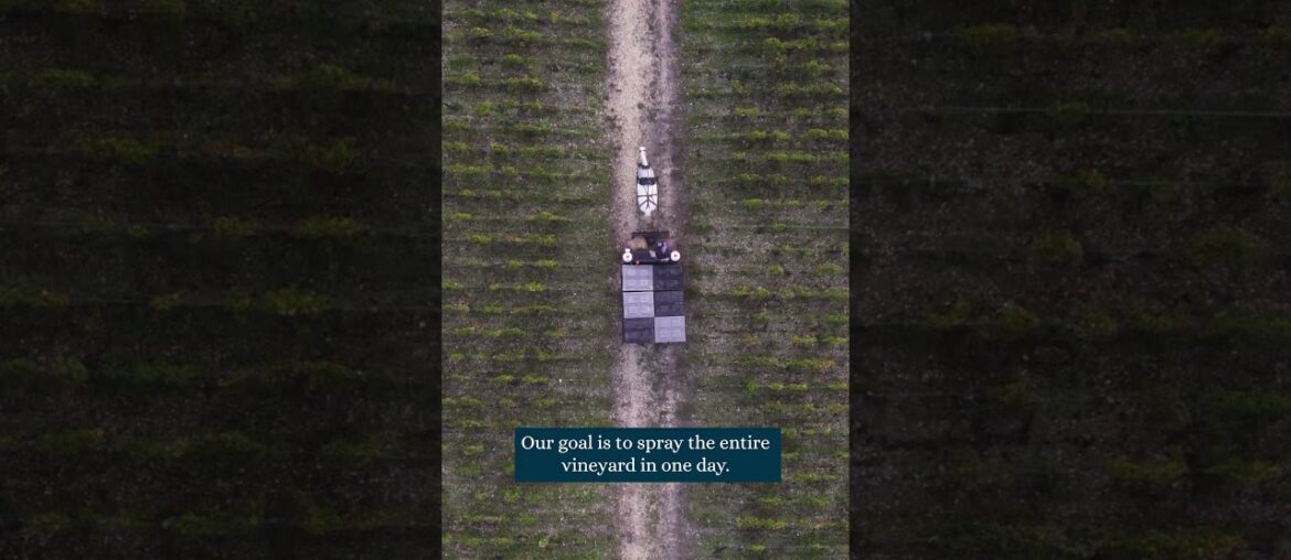 The history of Chateau Pontet-Canet