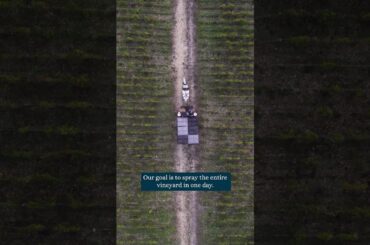 The history of Chateau Pontet-Canet